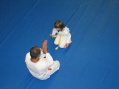 In dojo